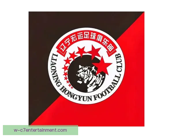 辽宁宏运等多家足球俱乐部未能通过准入审核或面临重大挑战 辽宁宏运等多家足球俱乐部未能通过准入审核或面临重大挑战